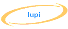 lupi